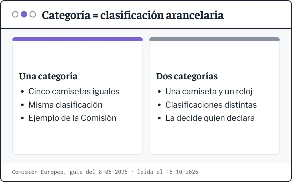 Ficha explicativa: la categoría de artículos es la clasificación arancelaria; cinco camisetas iguales son una categoría y una camiseta con un reloj son dos